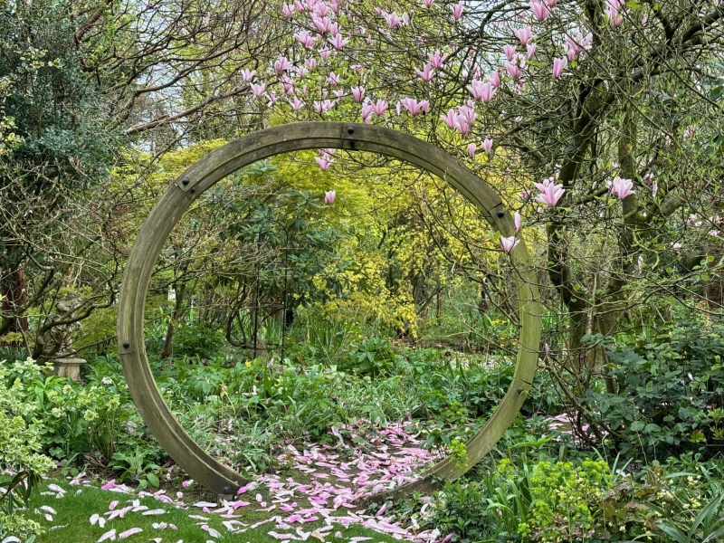 Weeping Ash Garden